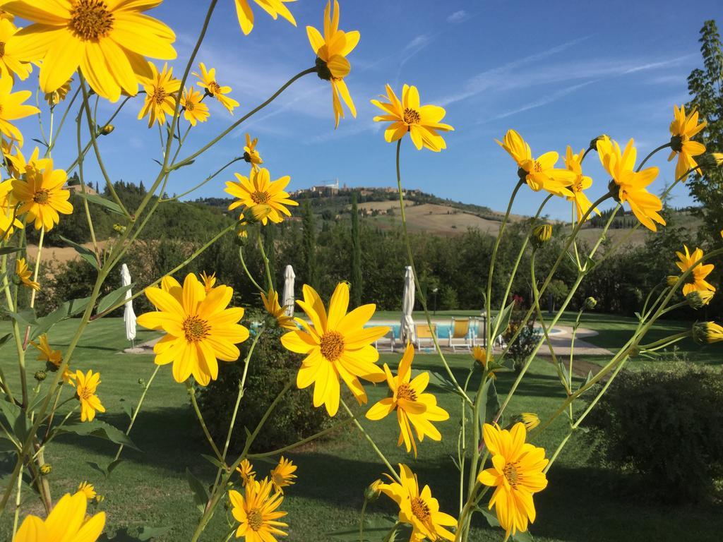 Agriturismo Marinello Pienza Exteriör bild